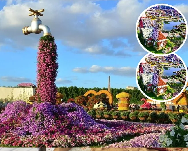 Dubai Miracle Garden colorful flower displays